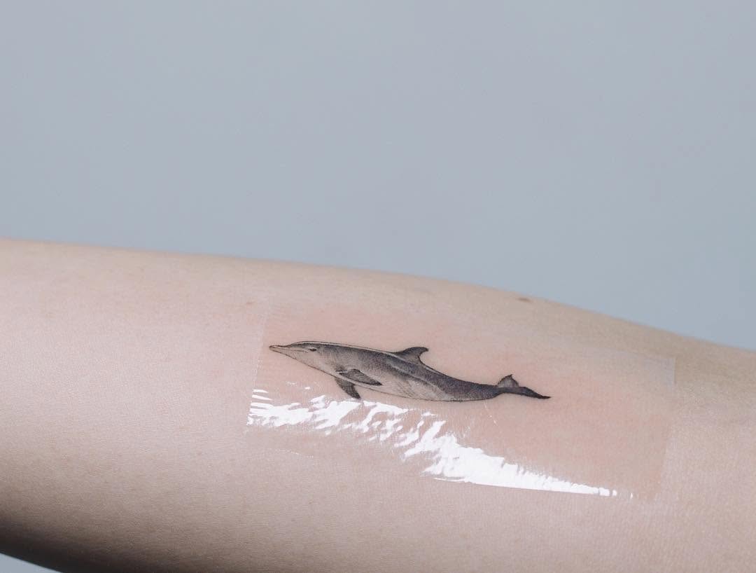 soltattoo