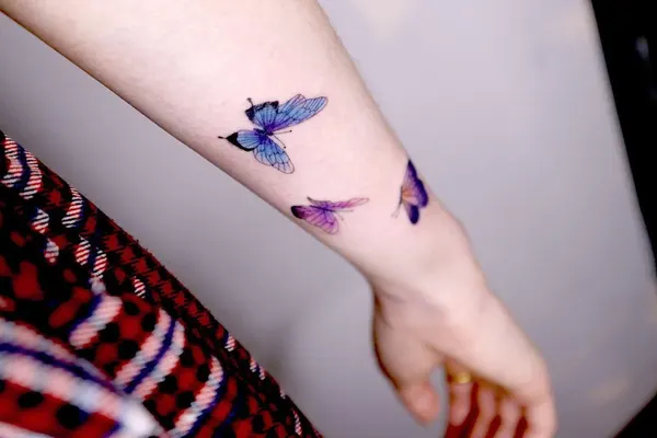 Animal, Nature, 라벤더, 요정, 잠자리