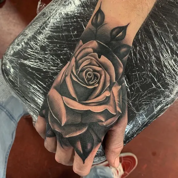 Flower, Rose