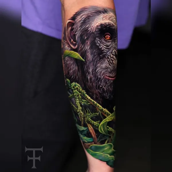 Animal, Tiger