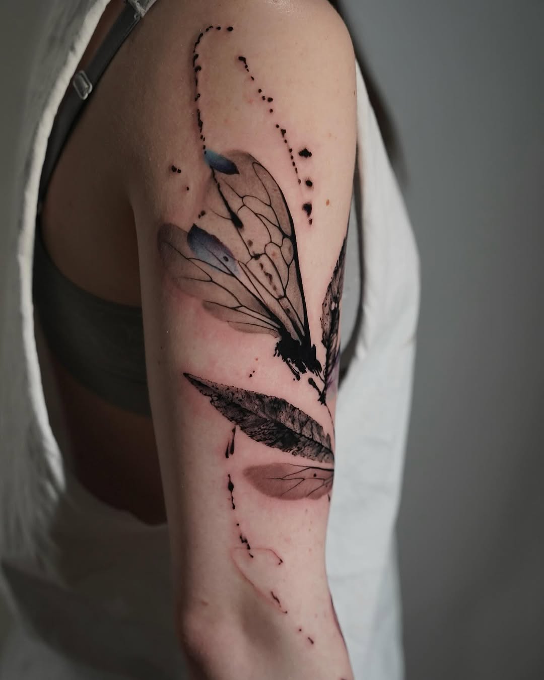 Animal, Nature