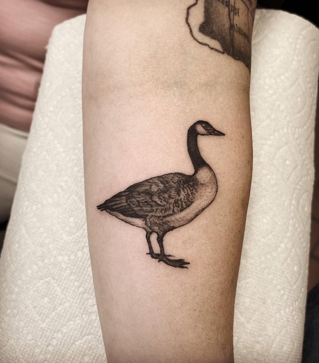 timbecktattoos