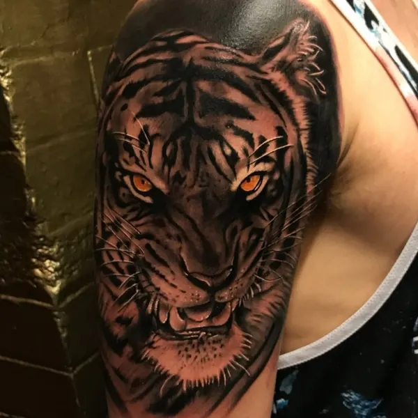 Tiger