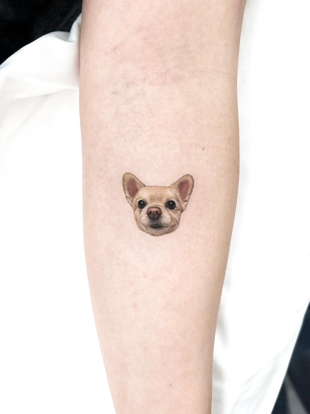 dorok.tattoo