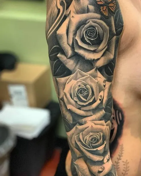 Flower, Rose, Nature
