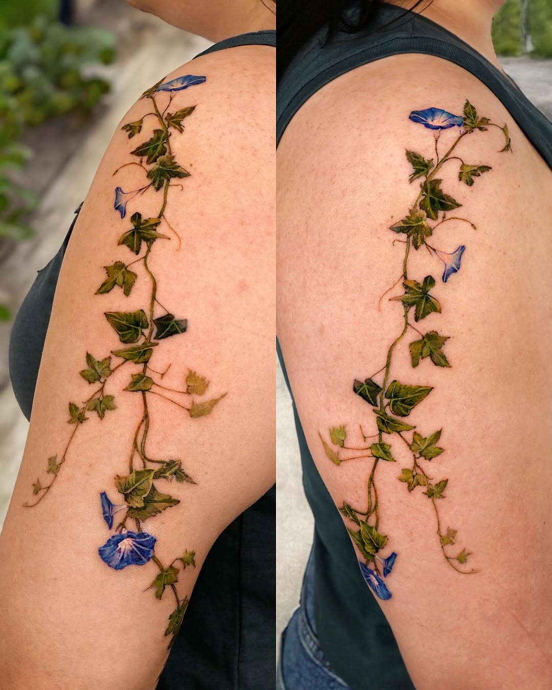 Rose, Flower