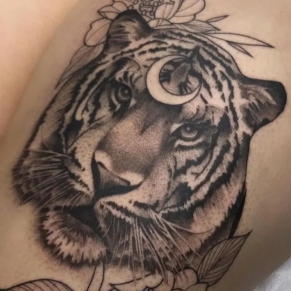 Tiger, 한국 호랑이, 중국 호랑이