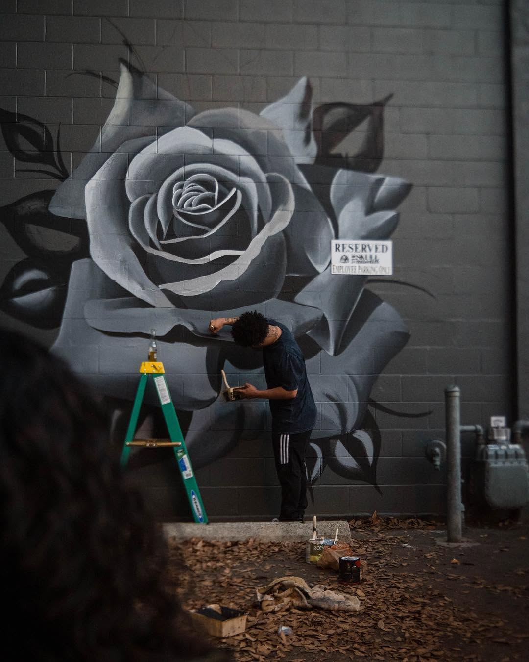 Flower, Rose
