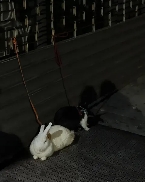 십자가상, 십자가