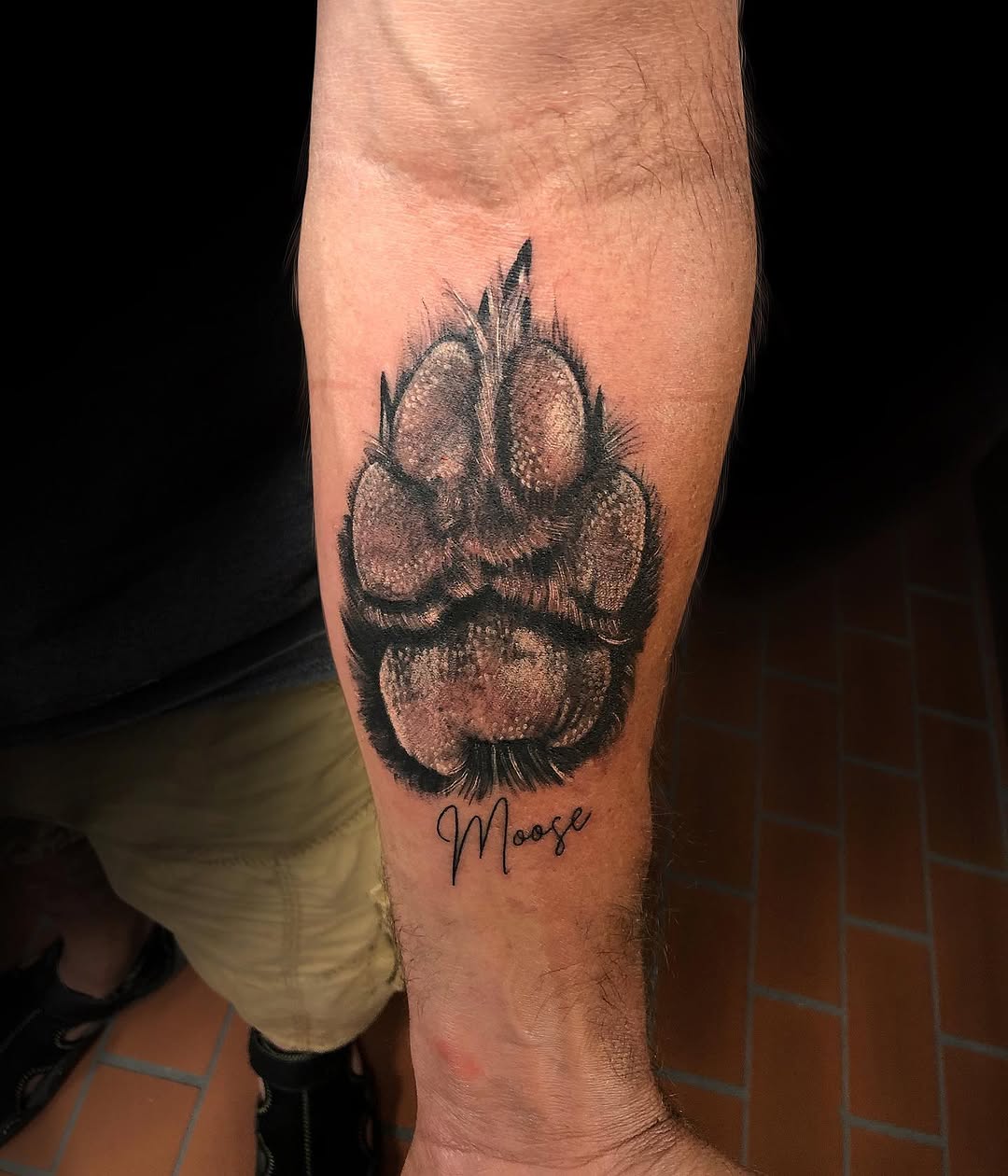 Animal