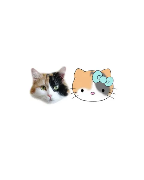 Mini, 마네키네코