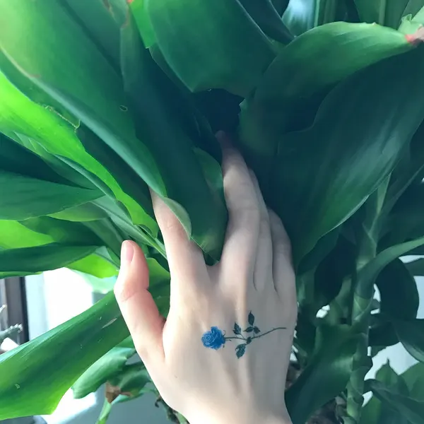 soltattoo