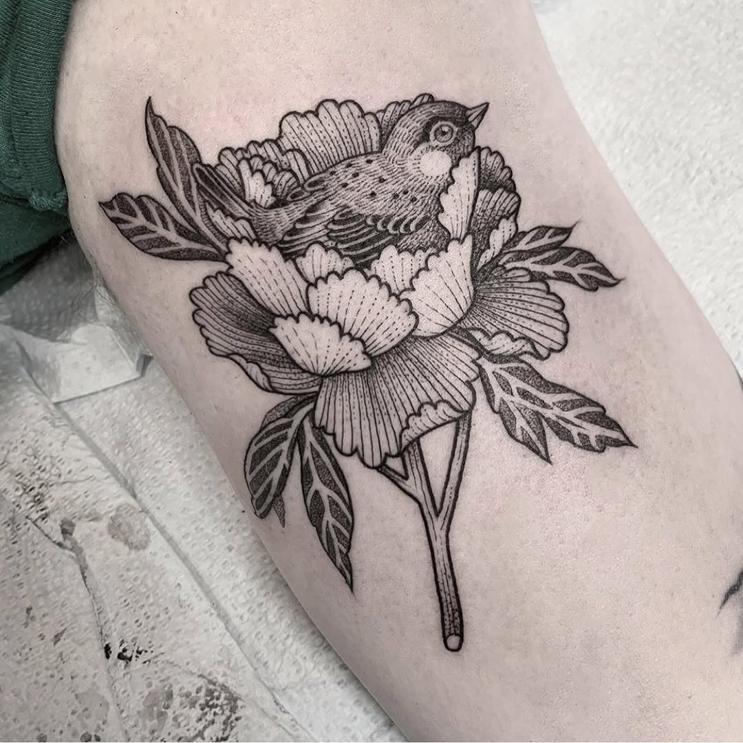 Flower, Rose