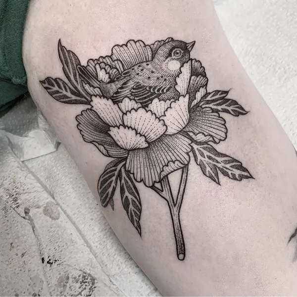 Flower, Rose