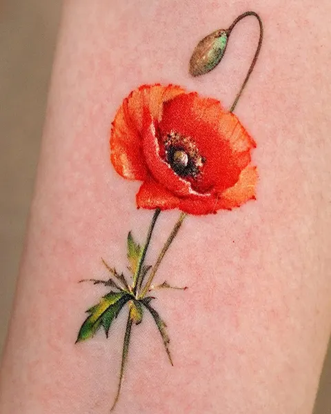 Flower, Rose, 양귀비