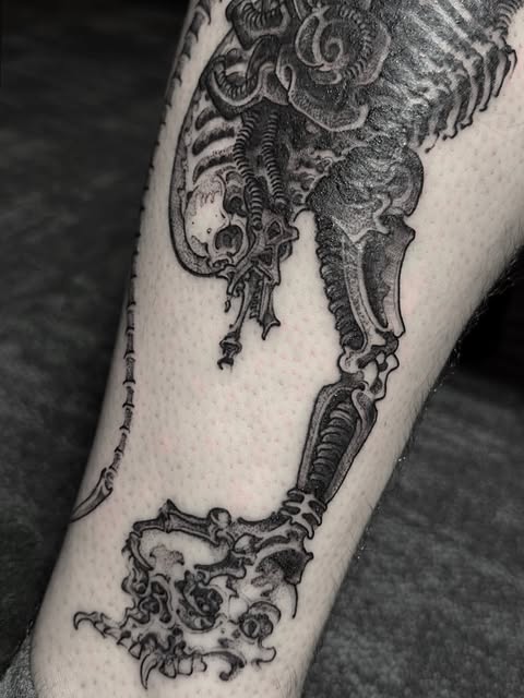 Dragon