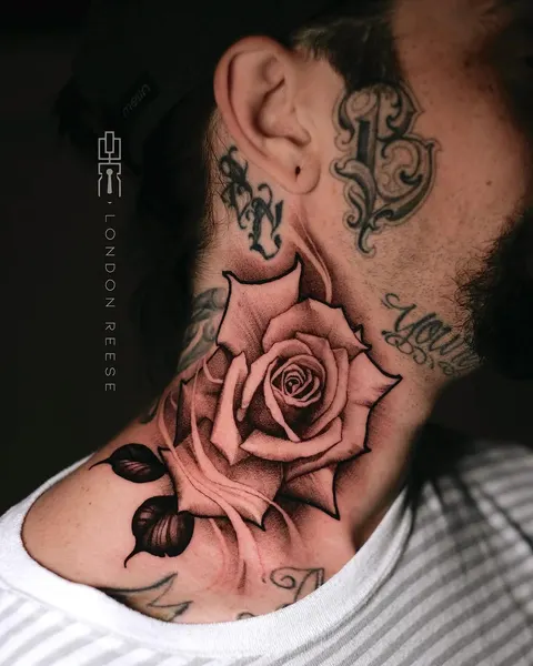 Flower, Rose, Nature