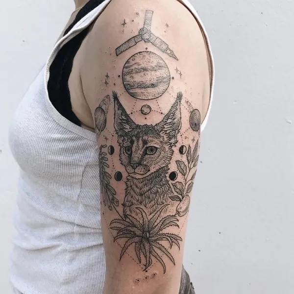 Tiger, Animal