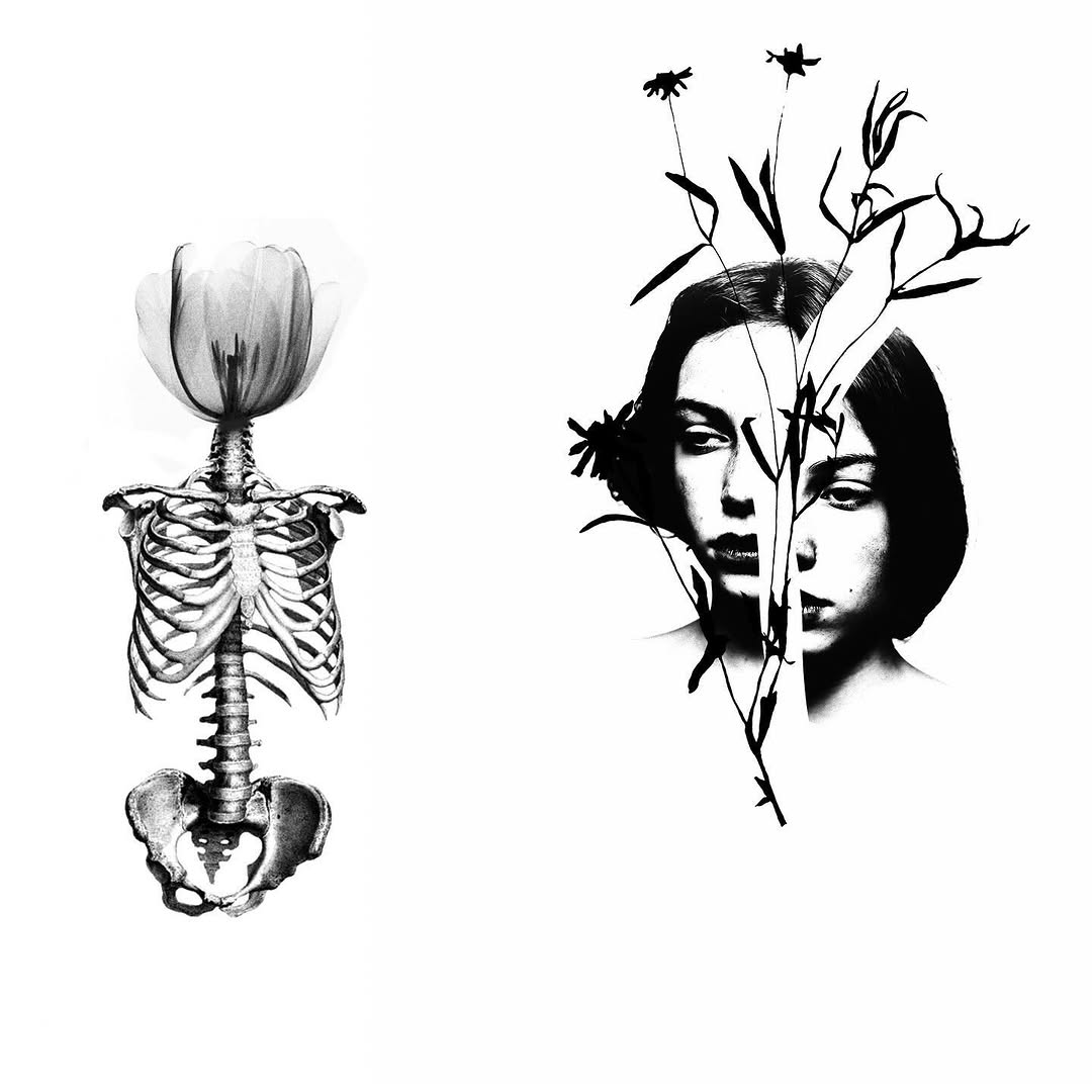 plantsnpokes