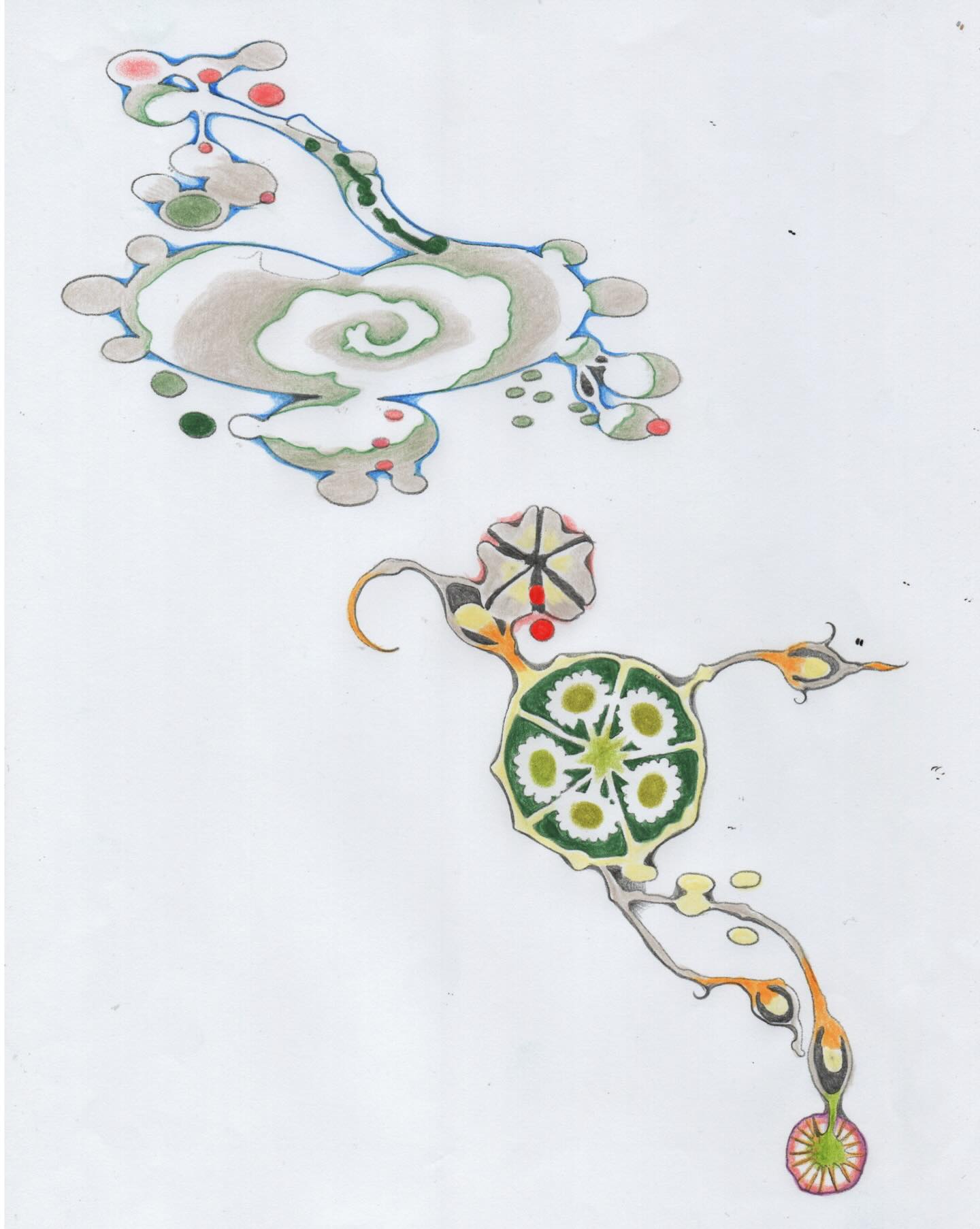 cymatic.garden