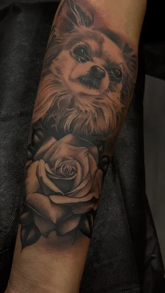 Flower, Rose