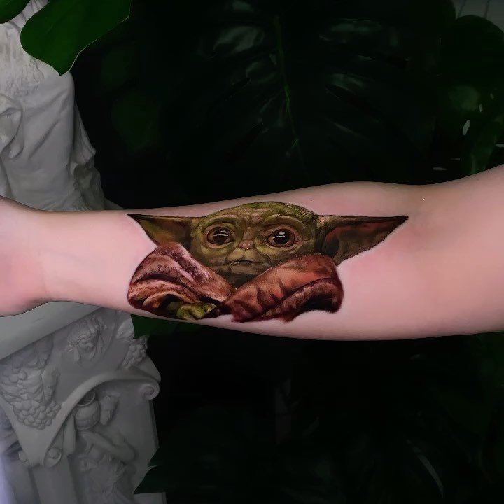 거북이, 바다거북