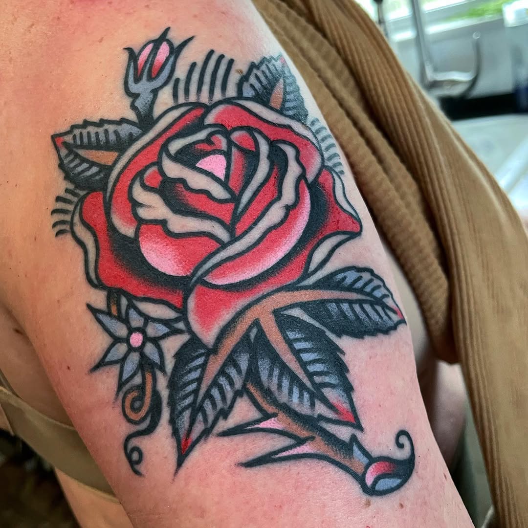 Flower, Rose, Nature