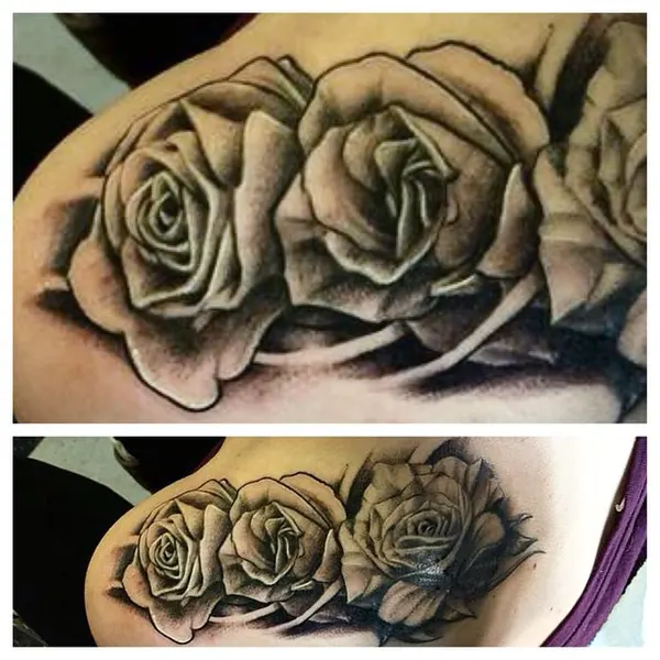Flower, Rose