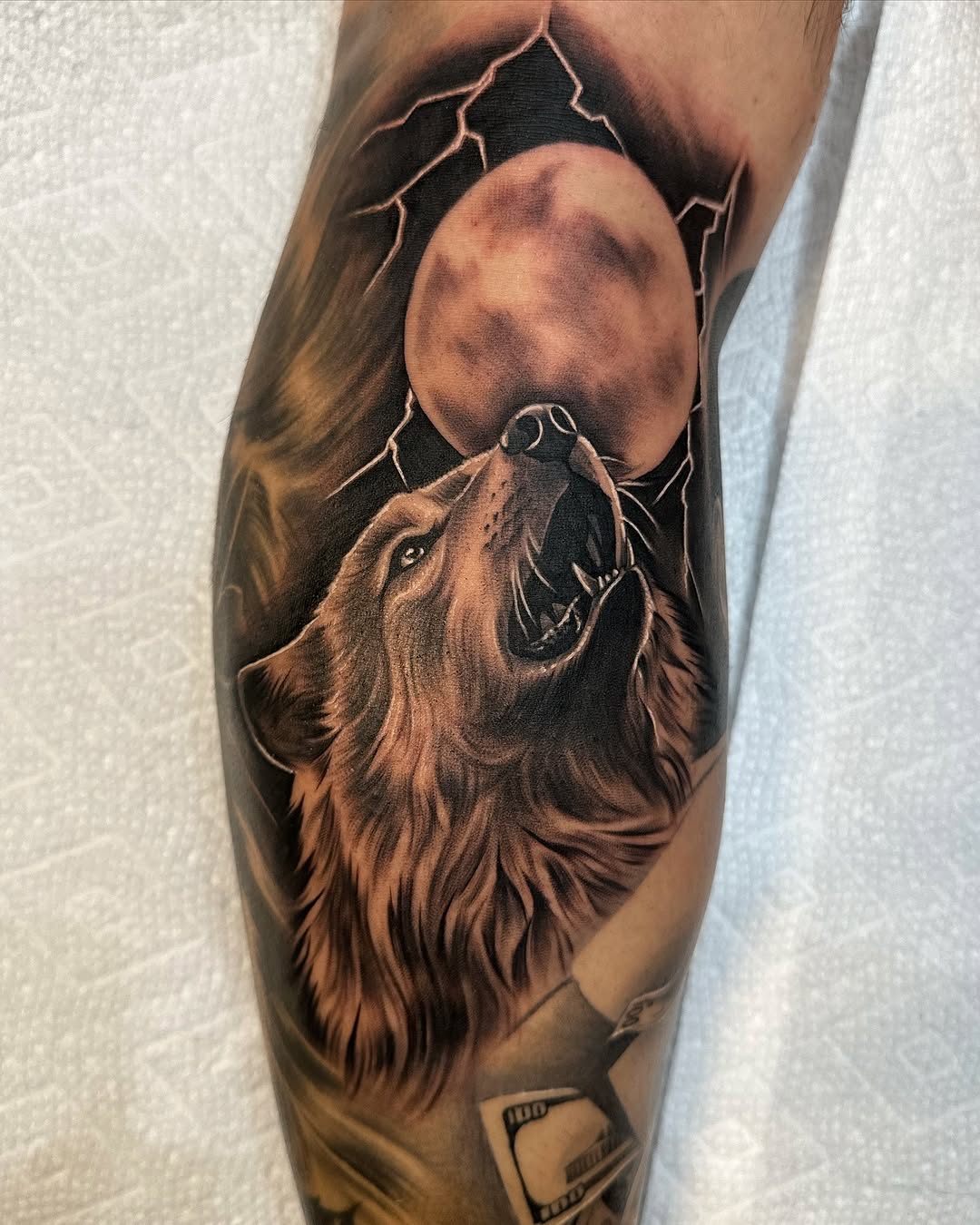 Animal