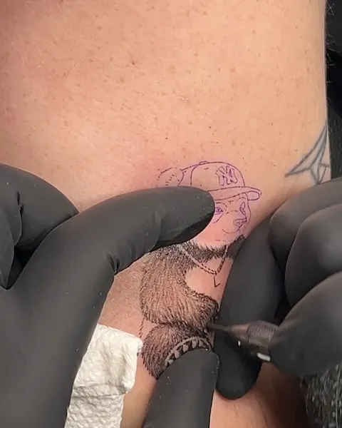 판다, Animal