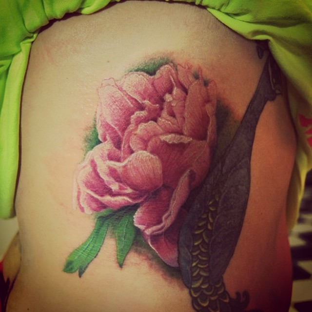 Flower, Rose