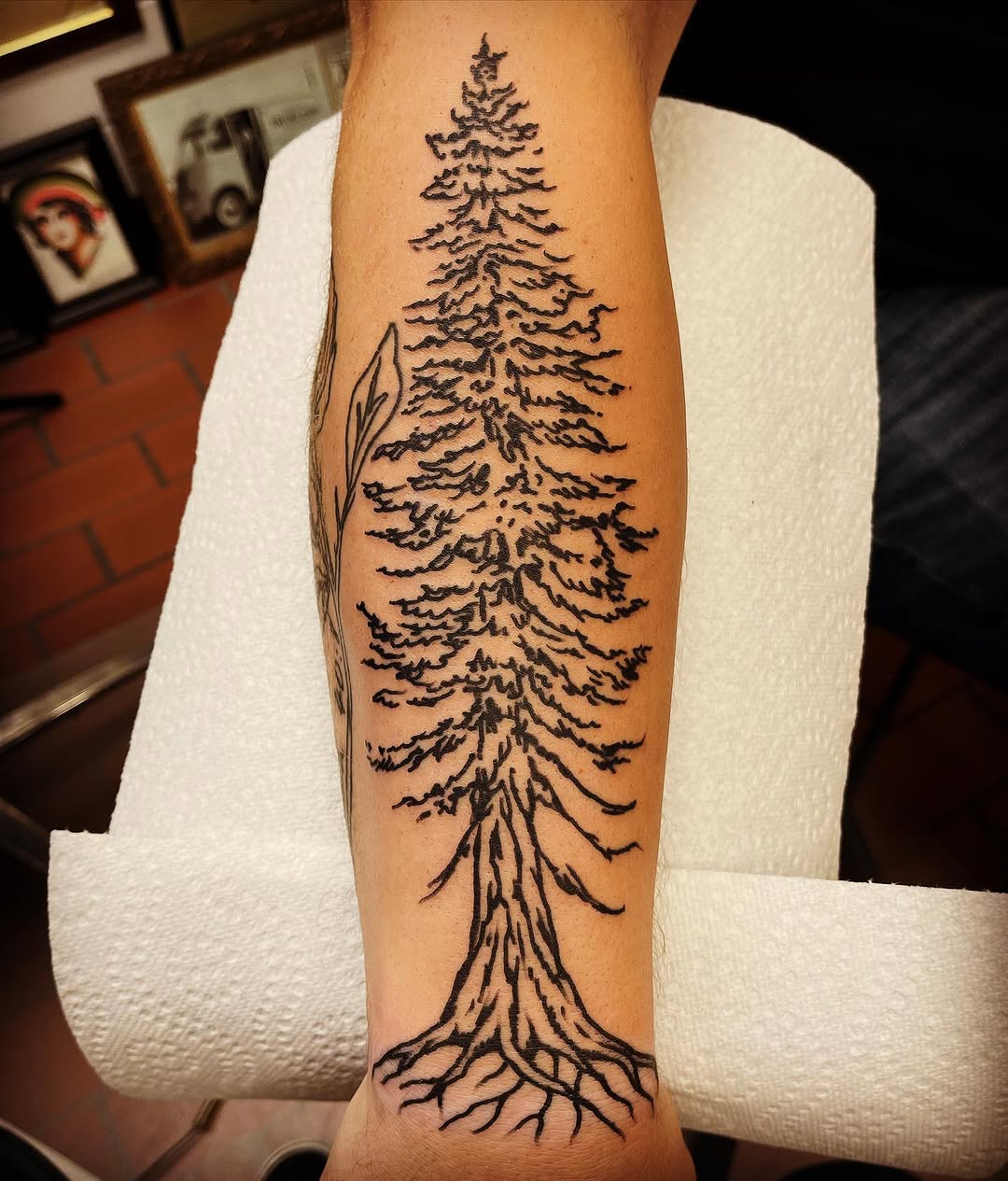 Nature