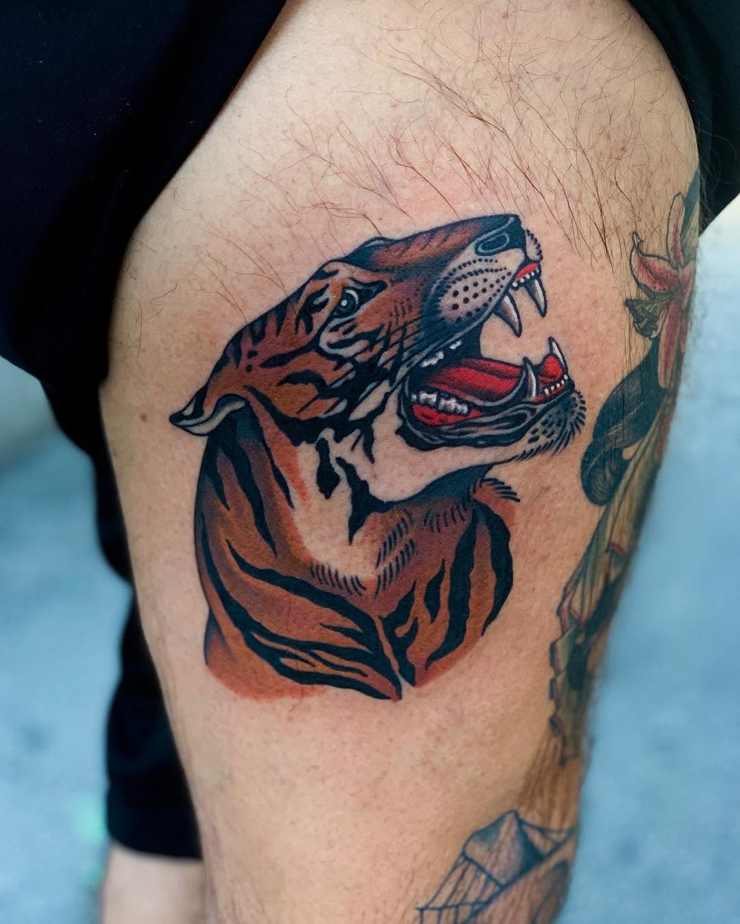 Tiger