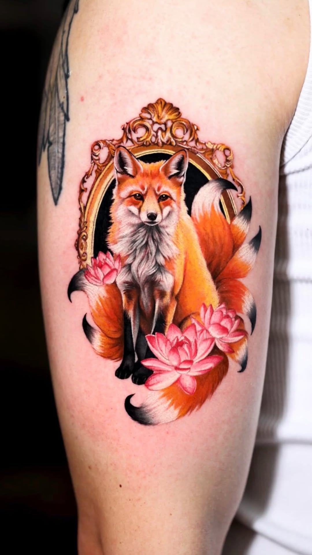 Animal, 여우