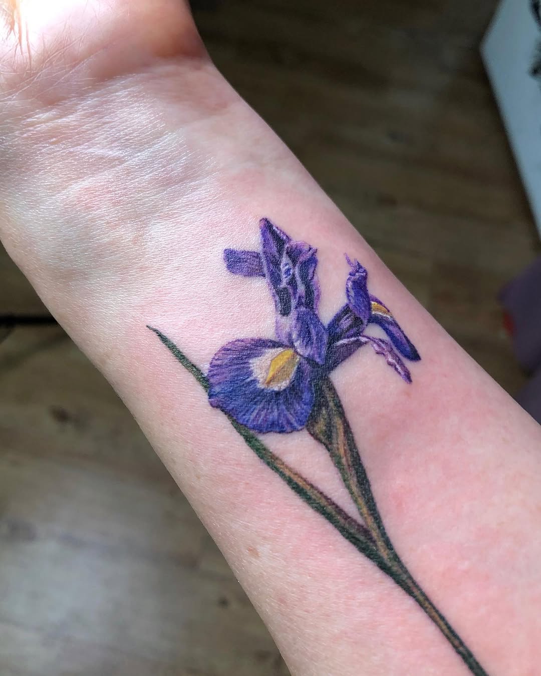 Flower, 난초, 아이리스, 백합, 튤립