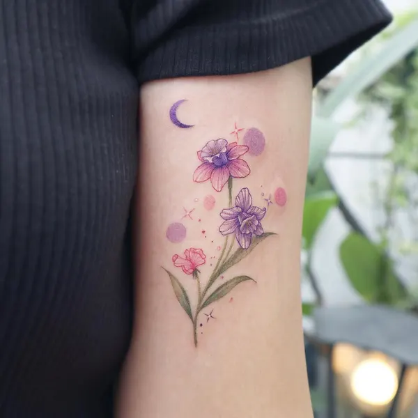 Flower, Rose, 모란