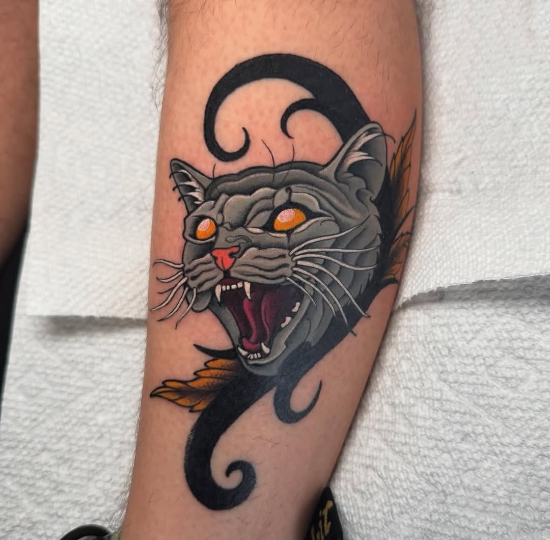 Tiger, Animal