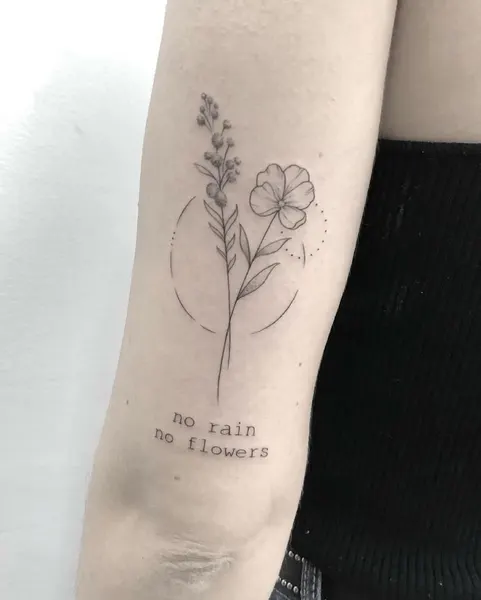 Flower, Rose