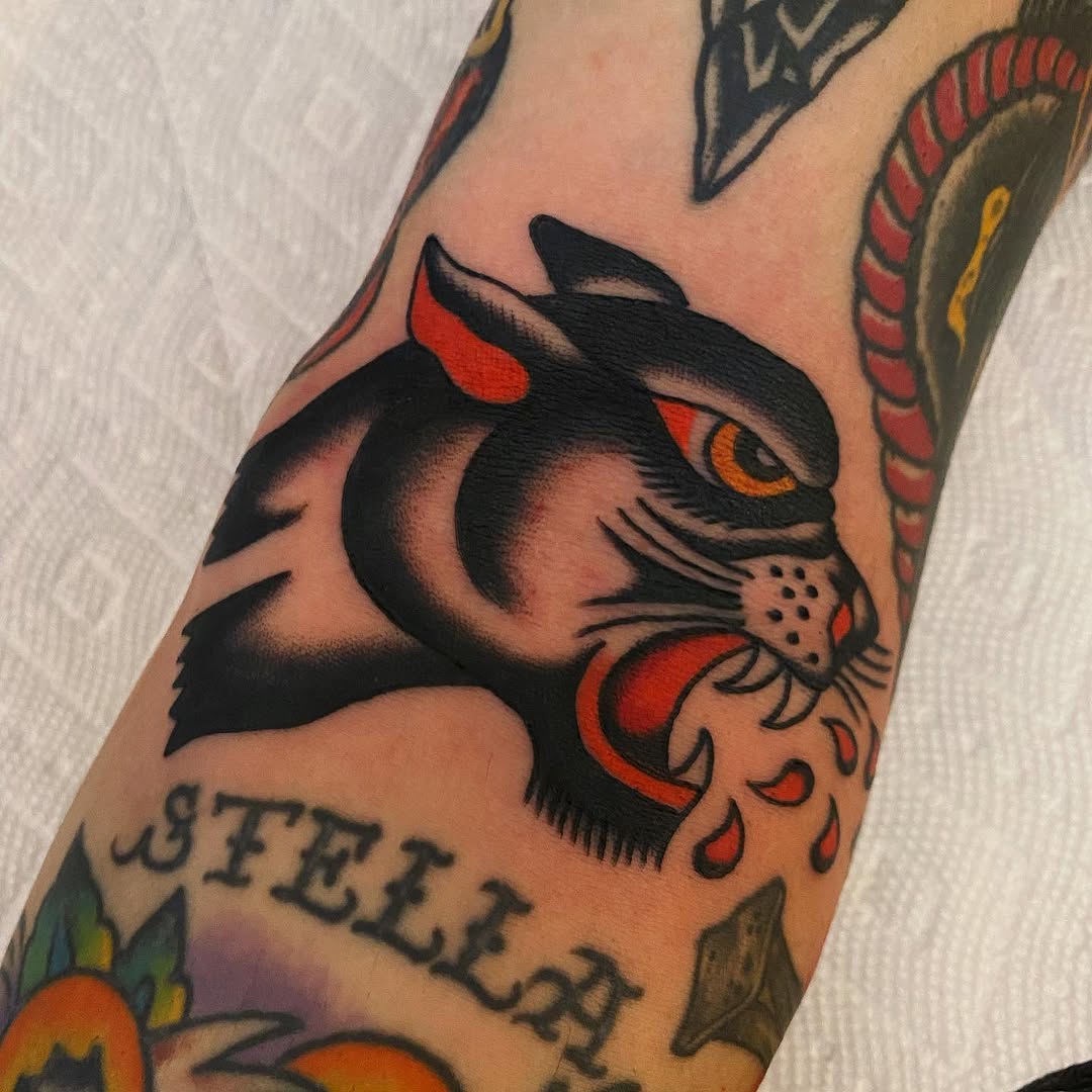 Animal, Tiger
