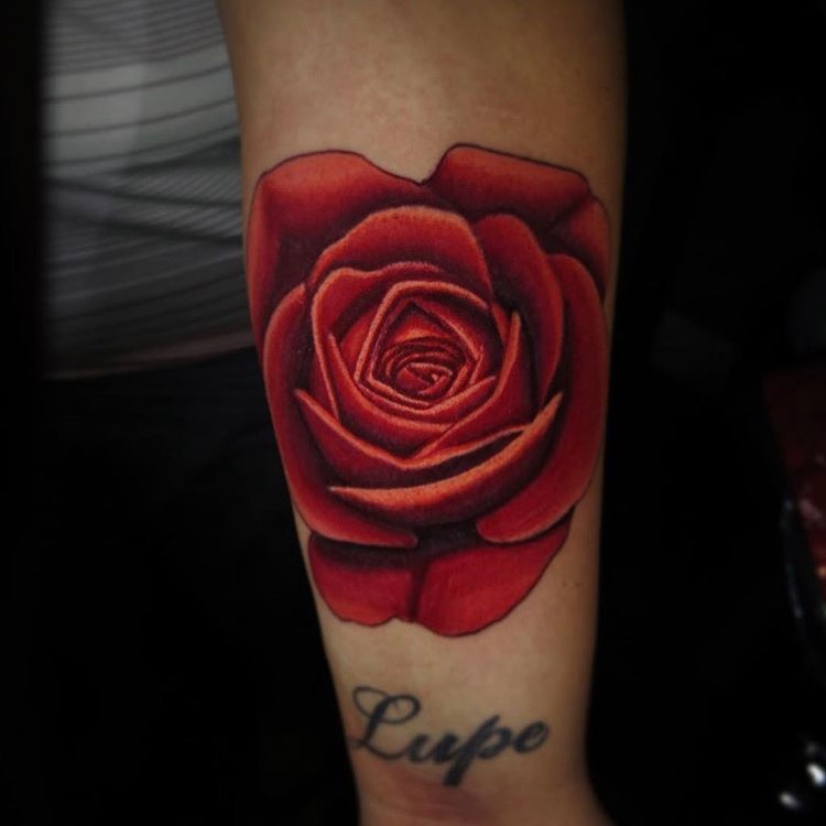 Flower, Rose
