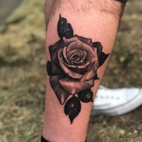 Rose, Flower