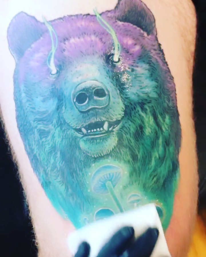 Animal