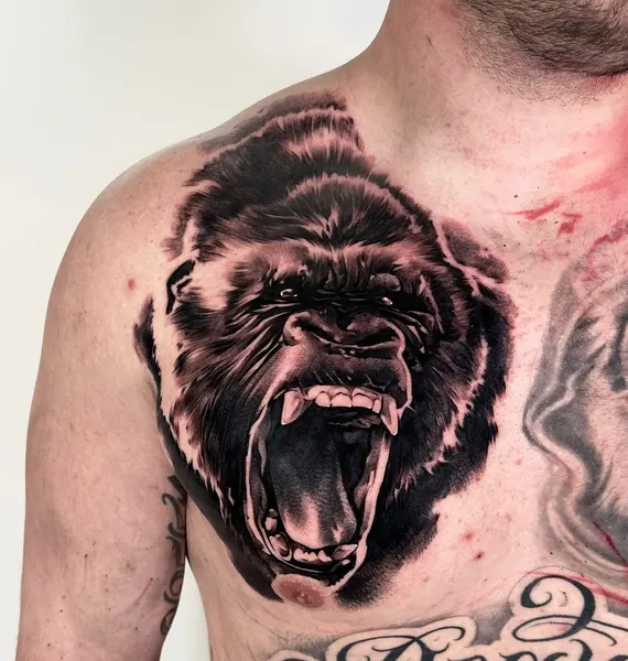 Animal, Tiger