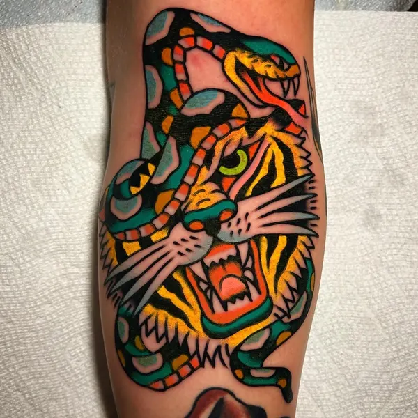 Tiger, Dragon