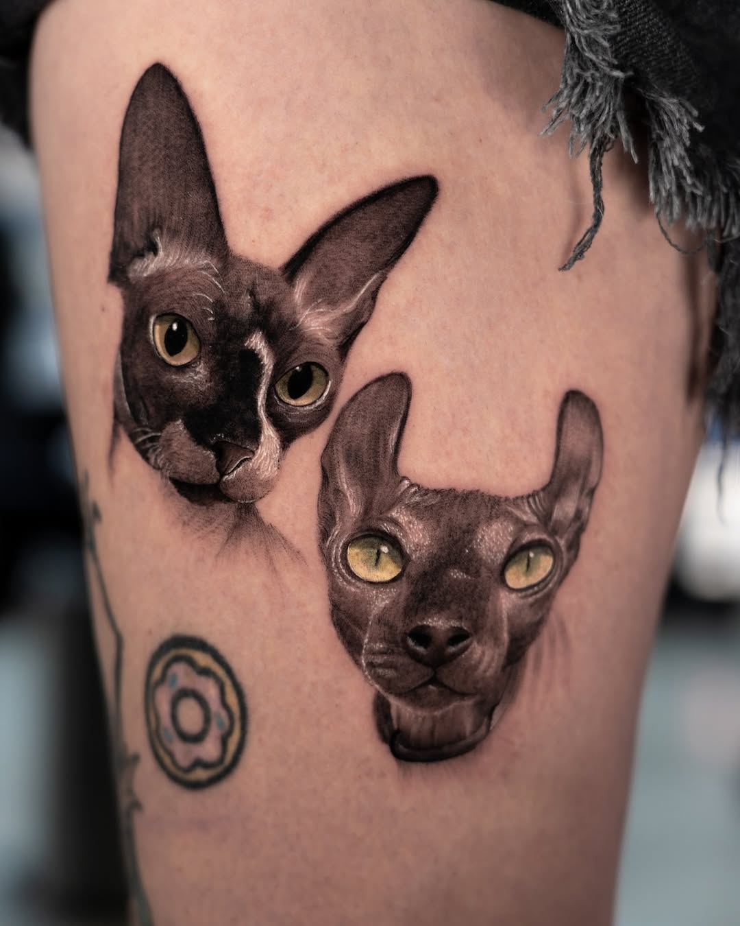 Animal