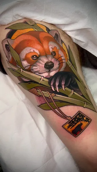 Animal