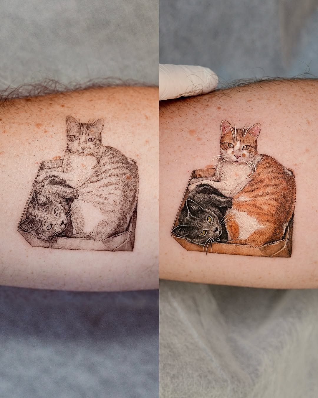 soltattoo