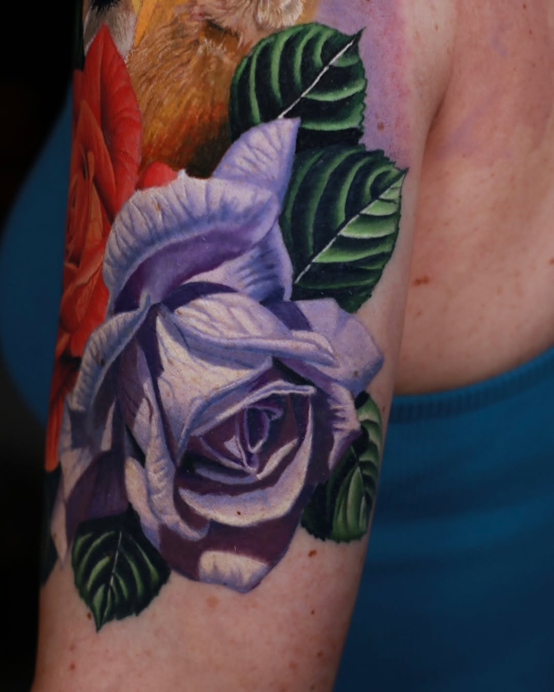 Flower, Rose