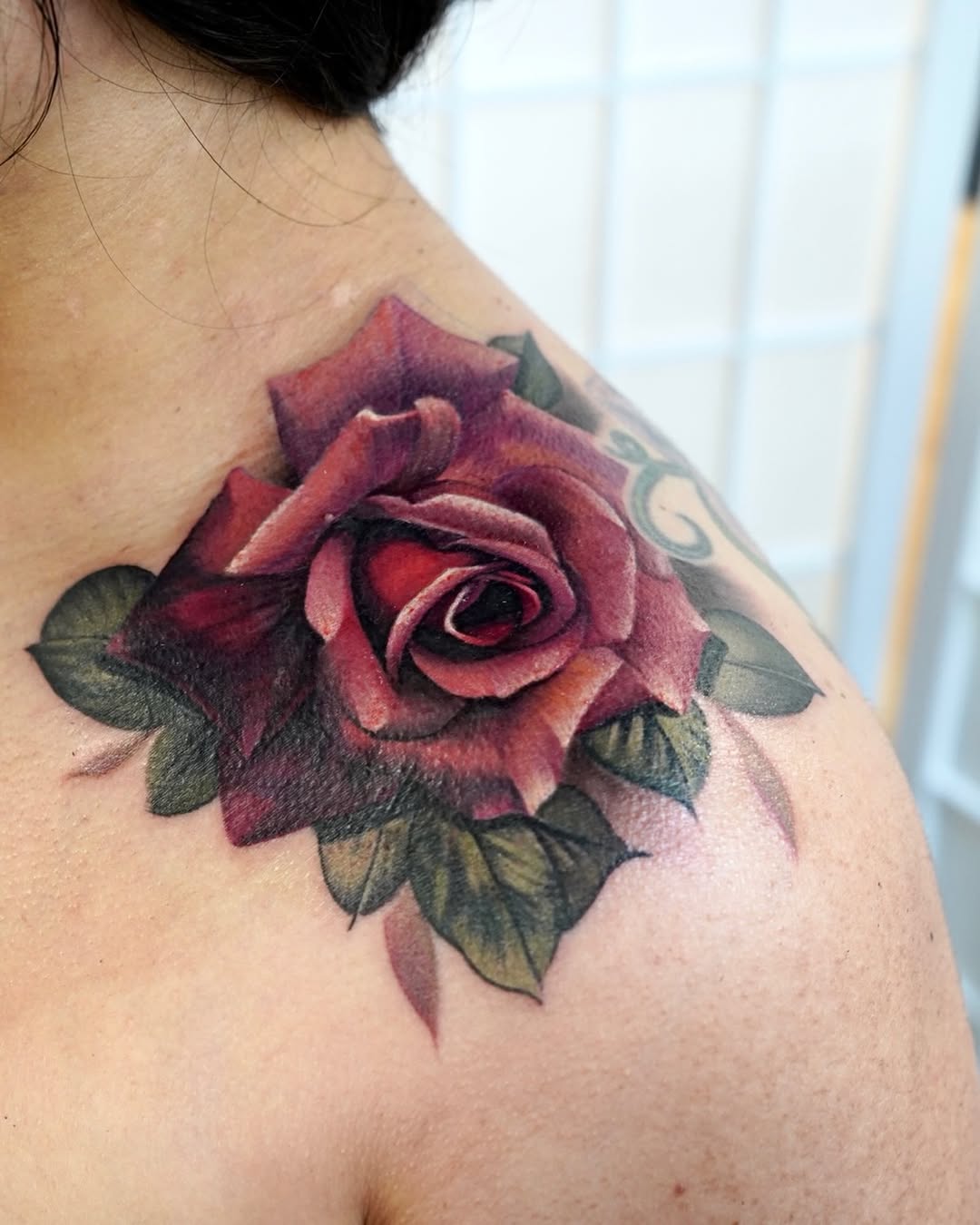 Flower, Nature, Rose