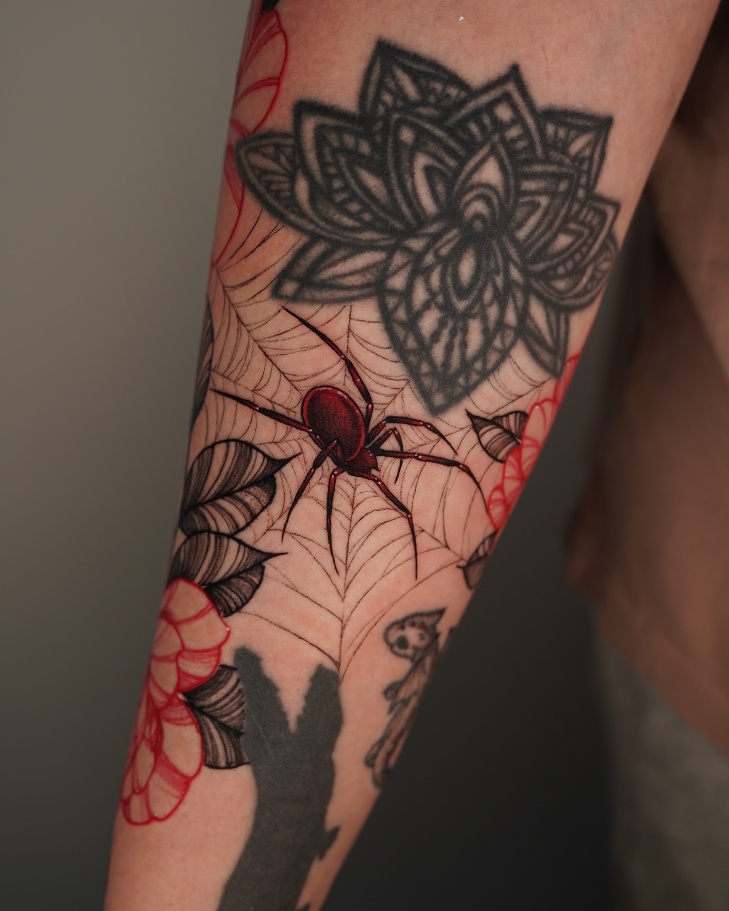 Animal, Nature, Flower